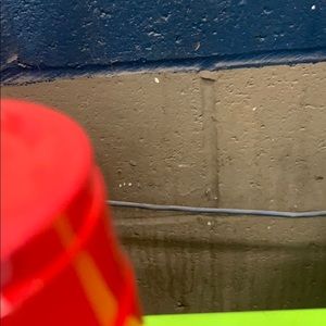 Meet your Posher, Cody